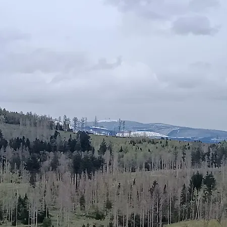 Апартаменты Waldperle Brockenblick Im Panoramic Oberharz Браунлаге Экстерьер фото