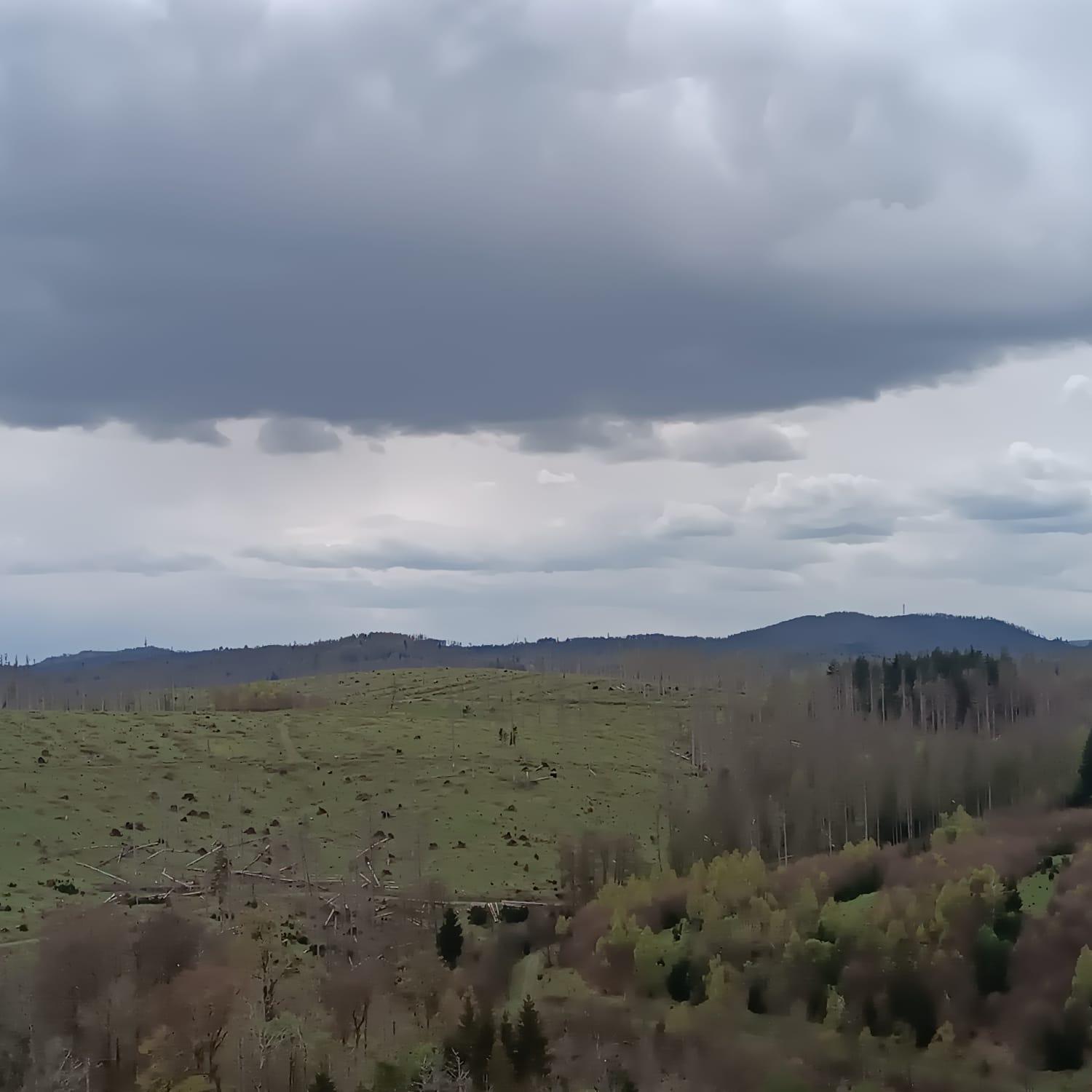 Waldperle Brockenblick Im Panoramic Oberharz *