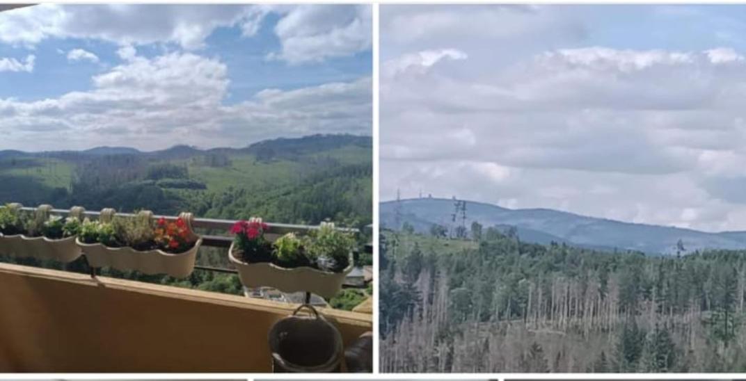 Waldperle Brockenblick Im Panoramic Oberharz * Браунлаге