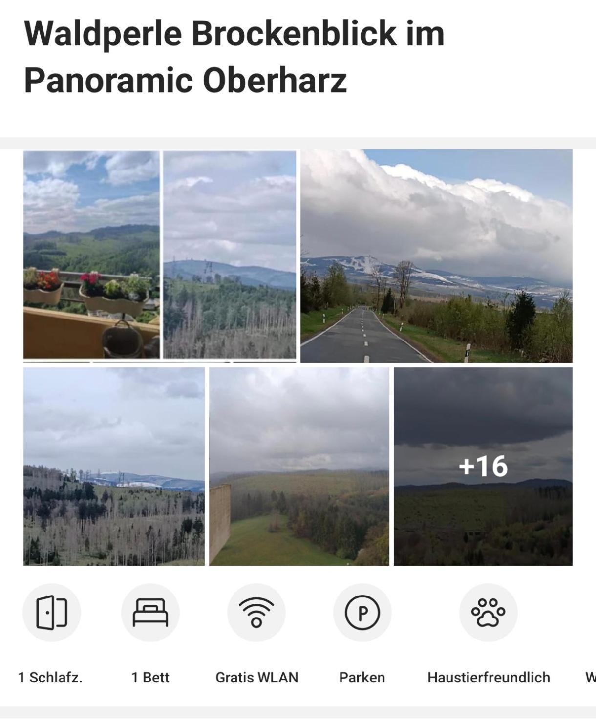 Waldperle Brockenblick Im Panoramic Oberharz Апартаменты *