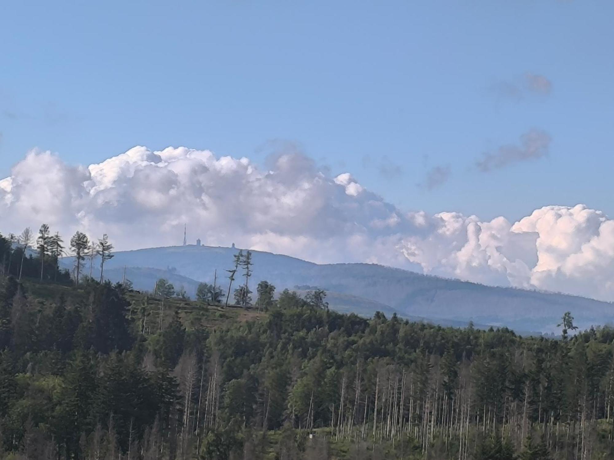 Waldperle Brockenblick Im Panoramic Oberharz Braunlage