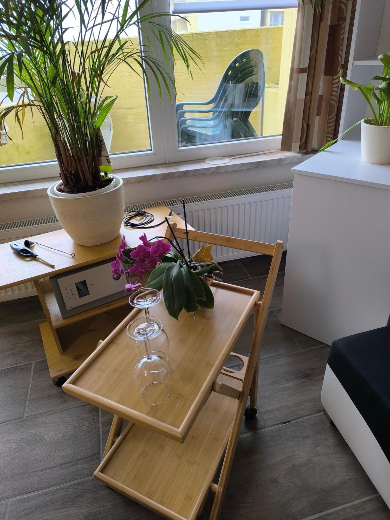Apartment Waldperle Brockenblick Im Panoramic Oberharz *